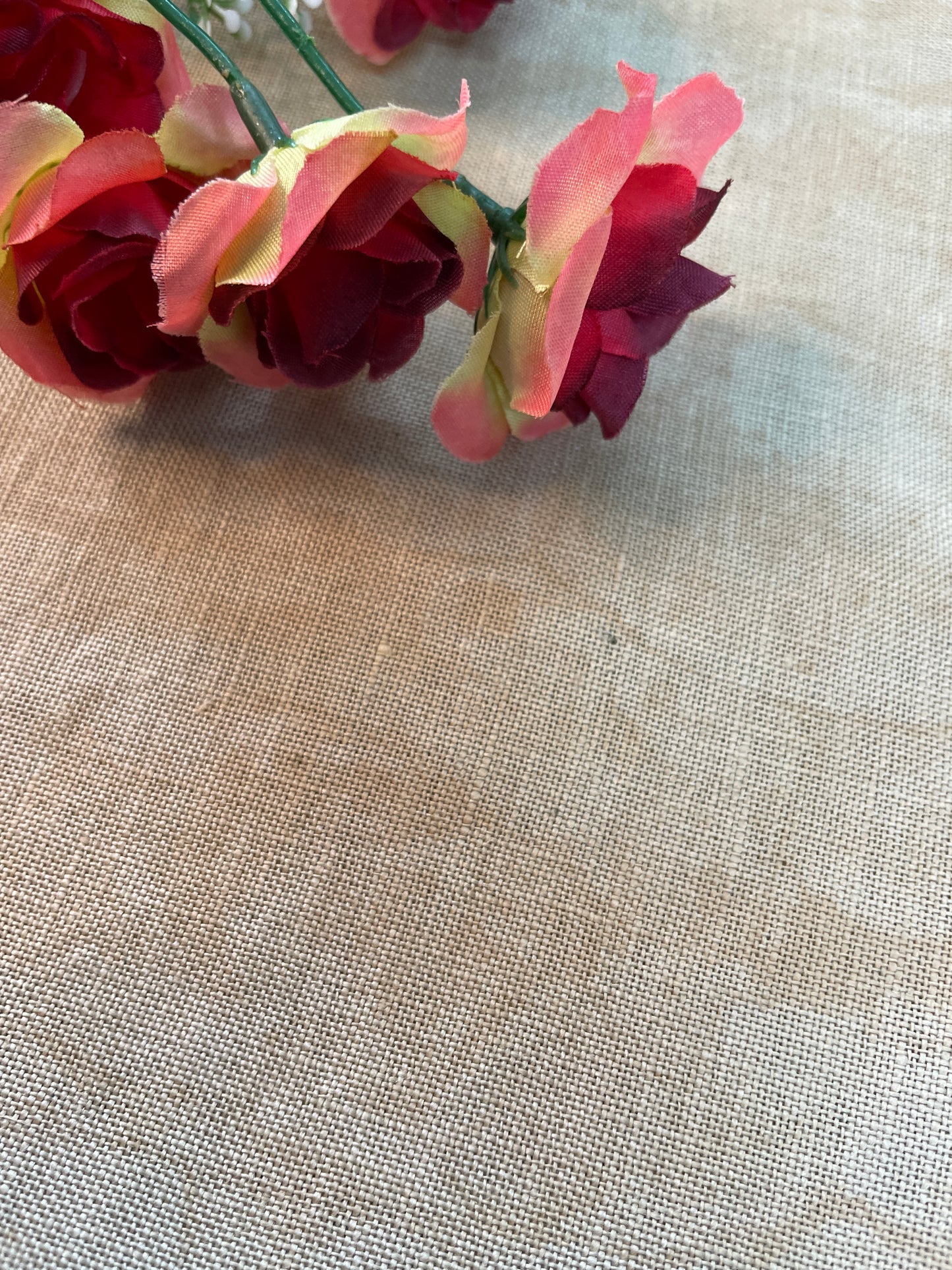 Snowgum hand-dyed fabric