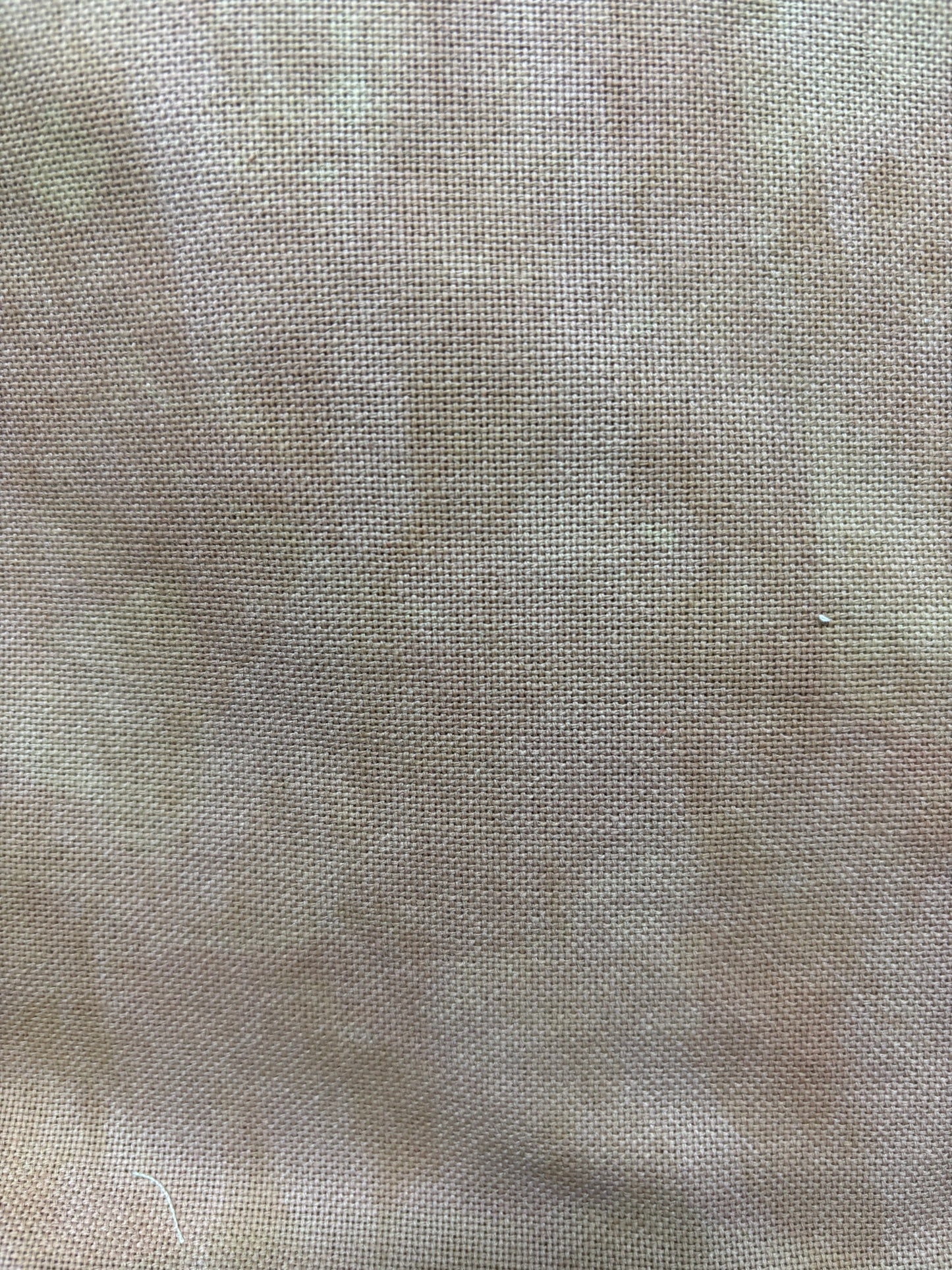 Royal Princess hand-dyed fabric