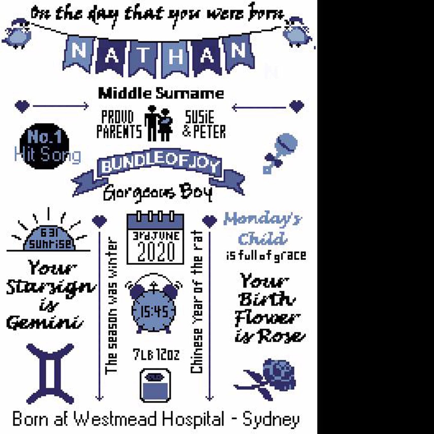 Personalised Baby Boy Birth Sampler PDF