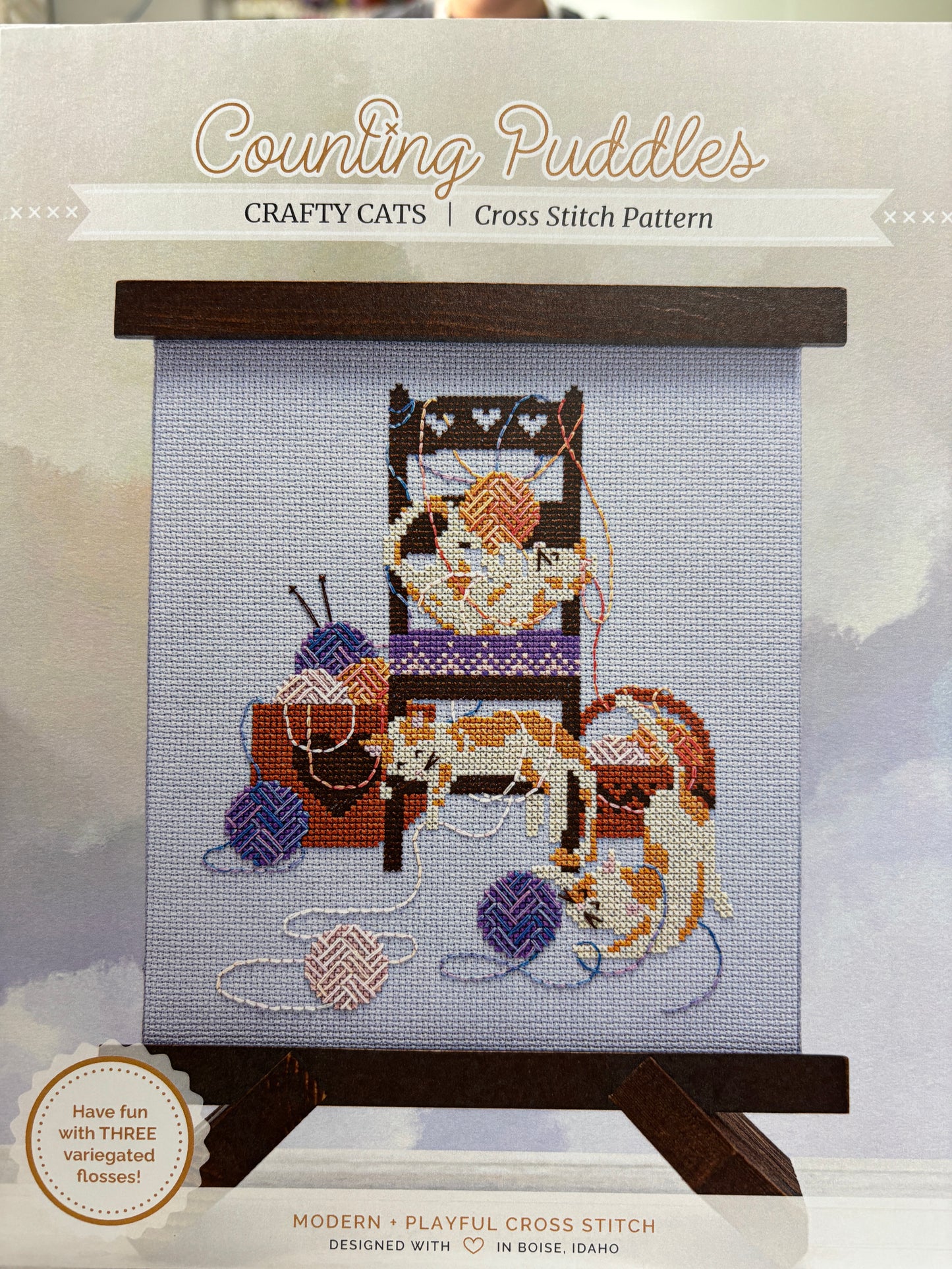 Counting Puddles Charts