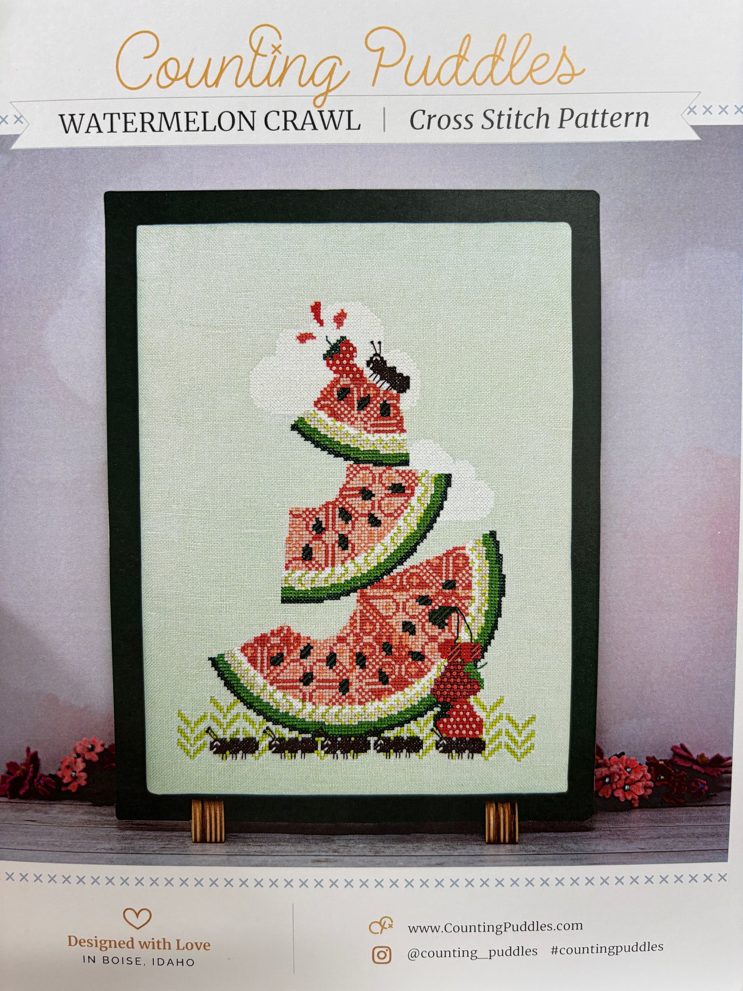 Counting Puddles Charts