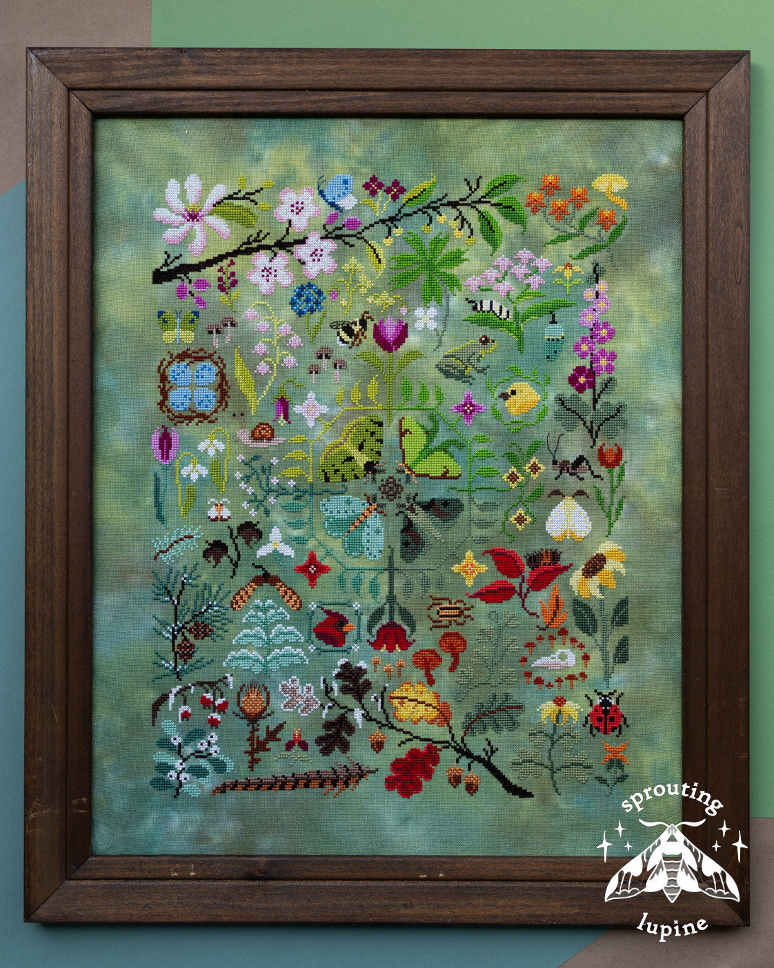 Sprouting Lupine Charts