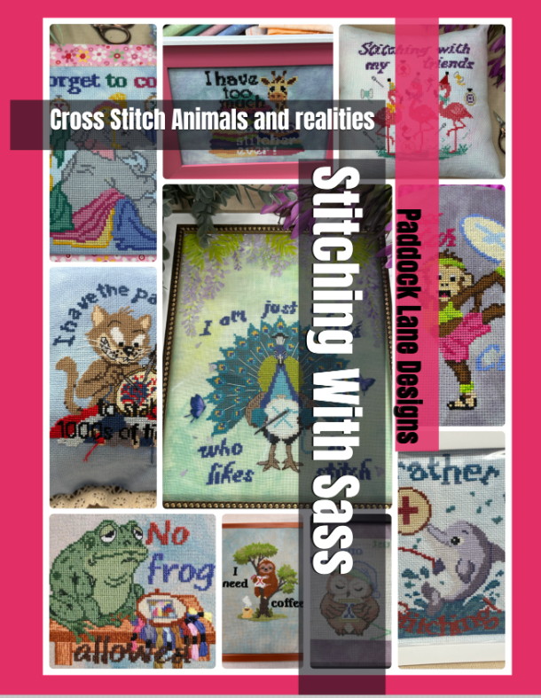 Stitching With Sass PDF Book