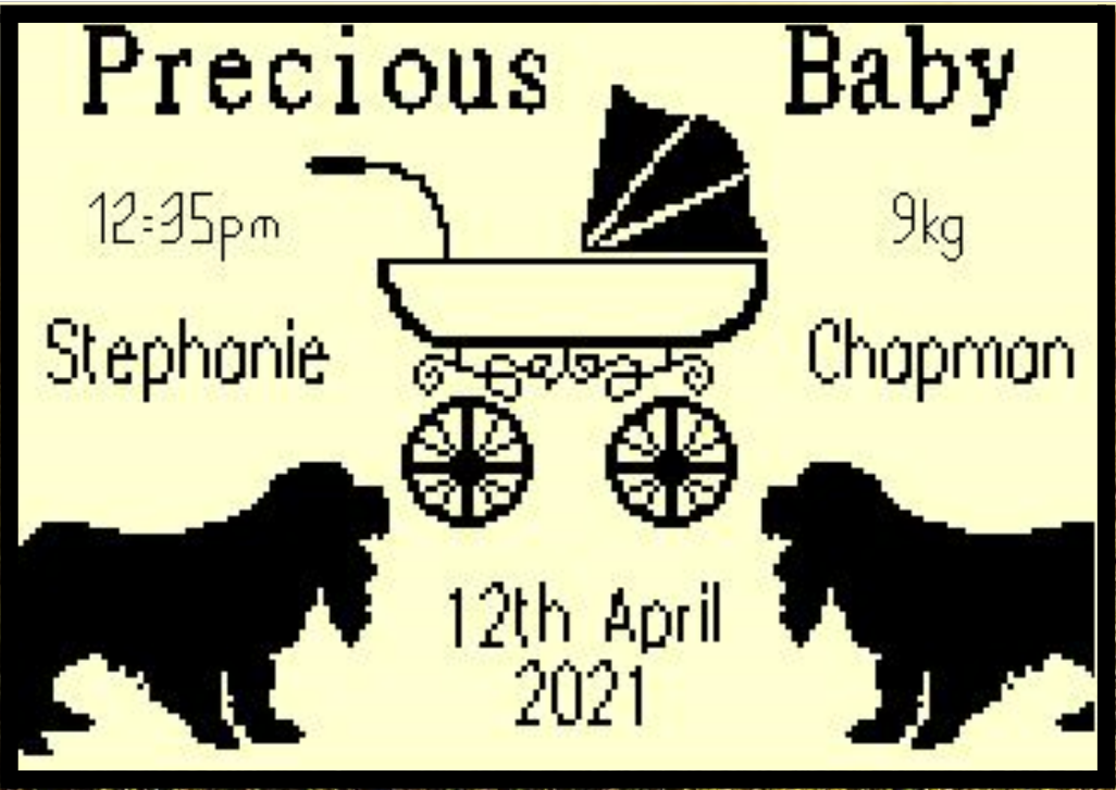 Precious Baby Dog Birth Sampler CHART